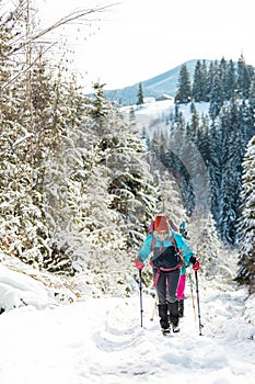 two girls with backpacks walk along a path in the winter mountains. hiking in the mountains