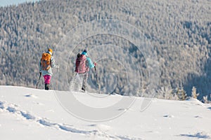 two girls with backpacks walk through the snow among the trees. winter hiking in the mountains