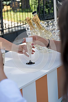 Two girls clink glasses of champagne or prosecco on a beautiful summer terrace garden