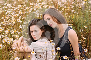 Two girls in dark blue and white dresses in sunny day sitting in chamomile field