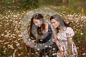 Two girls in dark blue and white dresses in sunny day sitting in chamomile field