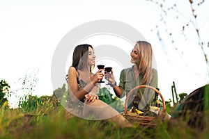 Two girls drinking wine. Female friends having a picnic and cheering in a field