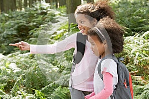 Two Girls Exploring Woods Together