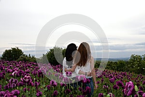 Two girls in a field with purple poppies