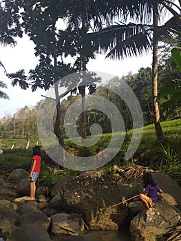 Yogyakarta, Indonesia- June, 2021: Two girls are fishing in the river with rice fields and big trees in the background.