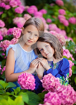 Two girls friends, two sisters in blue dresses in a garden of pink hydrangeas