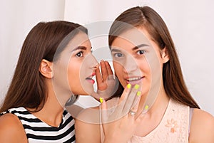 Two girls gossip on gray background