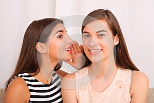 Two girls gossip on gray background