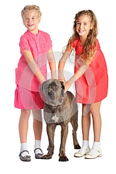 Two girls holding a big dog by the collar isolated