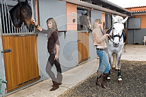 Two girls with horses photo