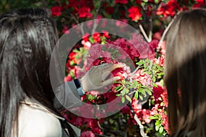 Two girls look and touch leaves of flowers Azaleas in green house in botanical garden, Kyiv, Ukraine