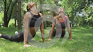 Two Girls Making Yoga Pose Downward Facing Dog