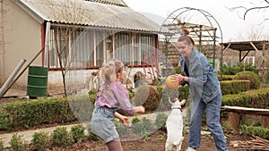 two girls play ball with dog on a farm or in a village yard.