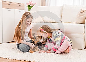 Two girls playing with yorkie