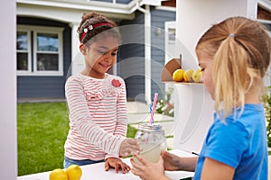 Two Girls Running Homemade Lemonade Stand photo