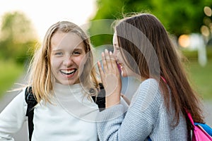 Two girls schoolgirl. In summer in park in nature. Teenagers communicate on street. Tell each other in ear. The concept photo