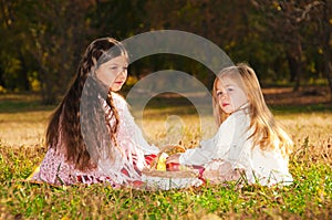 Two girls sisters read the book on the grass