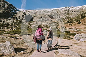 Two girls with their dogs walk on the mountain