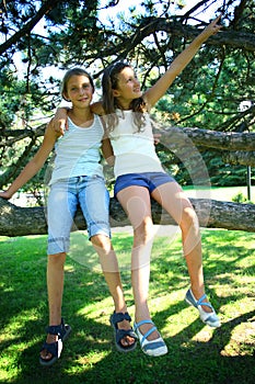 Two girls in tree