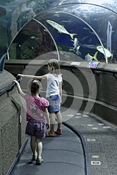 Two girls visiting aquarium