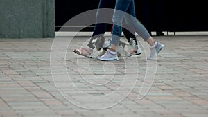 Two girls walking with little hairy dog.