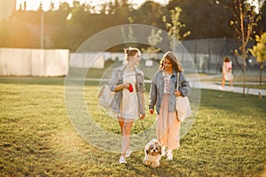 Two girls wallking in a park with a little dog