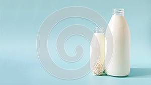 Two glass bottles of milk on a light background. Banner liter and 0.5 liters of milk in glass bottles