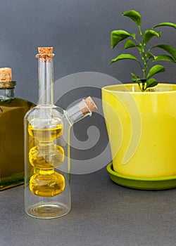 Two glass bottles olive oil stands near a flower against a dark background.