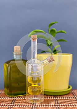 Two glass bottles olive oil stands near a flower against a dark background.