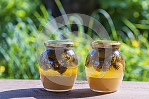 Two glass jars of fresh honey with pine cones on a wooden table, closeup