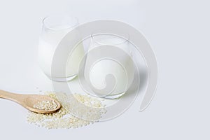 Two glass of vegatarian rice milk and rice grains on white background. Non dairy alternative milk. Concept of proper nutrition and