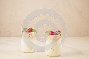 two glass yogurt with raspberry and mint/two glass yogurt with r