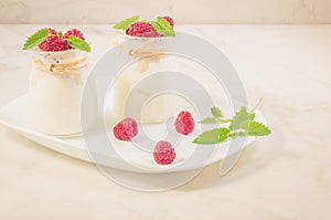 two glass yogurt with raspberry and mint/two glass yogurt with r