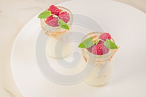 two glass with yogurt with raspberry and mint/two glass with yogurt with raspberry and mint, selective focus