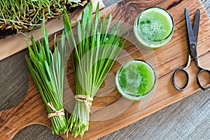 Two glasses of barley grass juice with freshly harvested barley