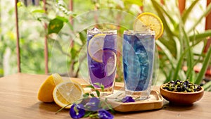 Two glasses of Blue and Violet Butterfly pea flower juice drinking, decoreted with yellow lemon sliced