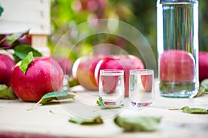 Apple brandy distillate with apples on garden table.