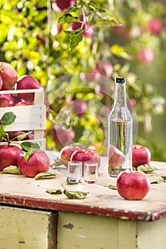 Apple brandy distillate with apples on garden table. photo