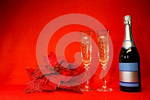 Two glasses of champagne, a bottle of champagne and red christmas flower.