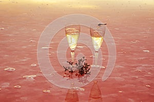 Two glasses of champagnein the water of pink lake with reflaction, at sunrise, Ukraine Valentine`s Day