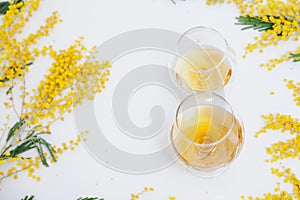 Two glasses with cognac on white background. Near mimosa