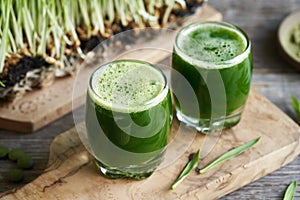 Two glasses of fresh barley grass juice with homegrown barleygrass blades