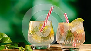 Two glasses of hard seltzer cocktail with citrus slices and mint.