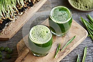 Two glasses of homemade barley grass juice with freshly grown barleygrass blades