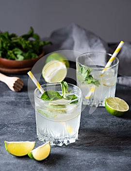 Two glasses of lime lemonade mojito with lime slices and mint on gray background . dark and close up