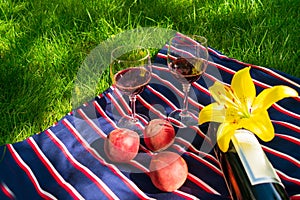 Two glasses of red wine, on a background of grass. The concept of a romantic picnic in nature.
