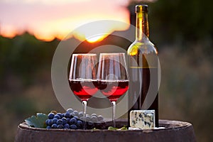 Two glasses of red wine in the vineyard at sunset