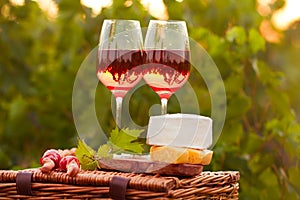 Two glasses of rose wine with meat, grape, bread and cheese on t