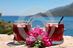 Two glasses of summer red cocktail with ice and a sprig of Bougainvillea flowers between on the seascape background
