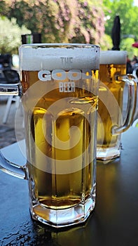 Two glasses of unknow brand beer on a table short vertical video.